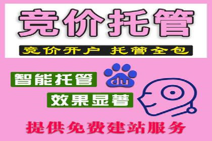 竞价代运营成功案例：助力企业抢占市场份额